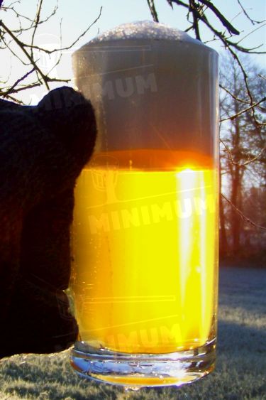 Pils - la reine des bières blondes en basse fermentation avec un houblon allemand noble.