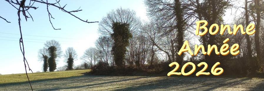 Bonne année 2026