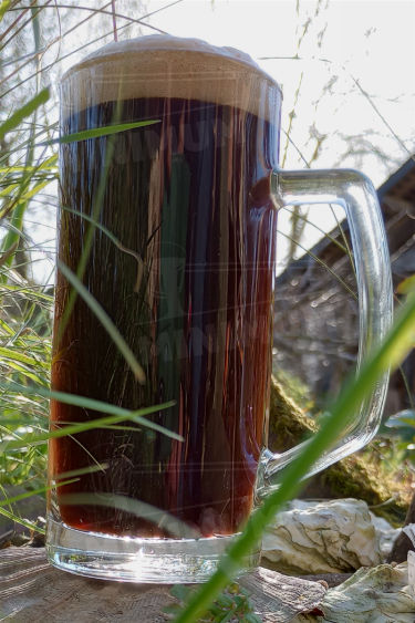 Les Bières artisanales 12 Une chope de Porter