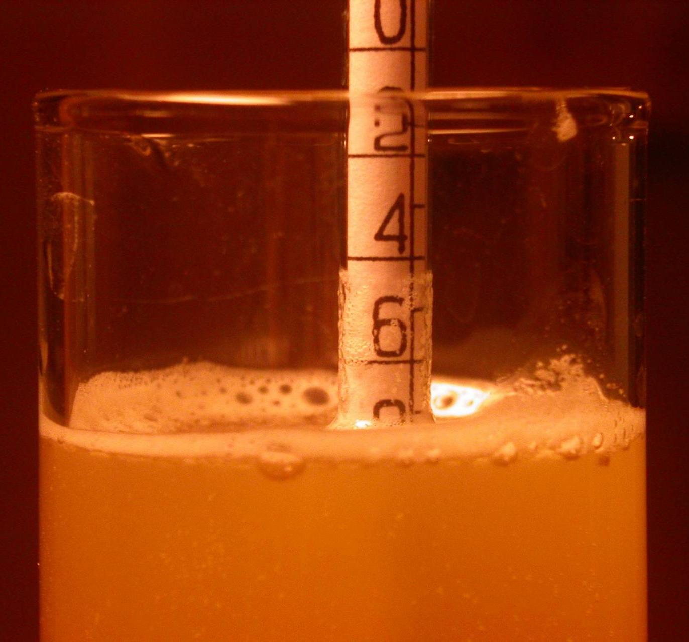 Mesure de la fermentation de la bière